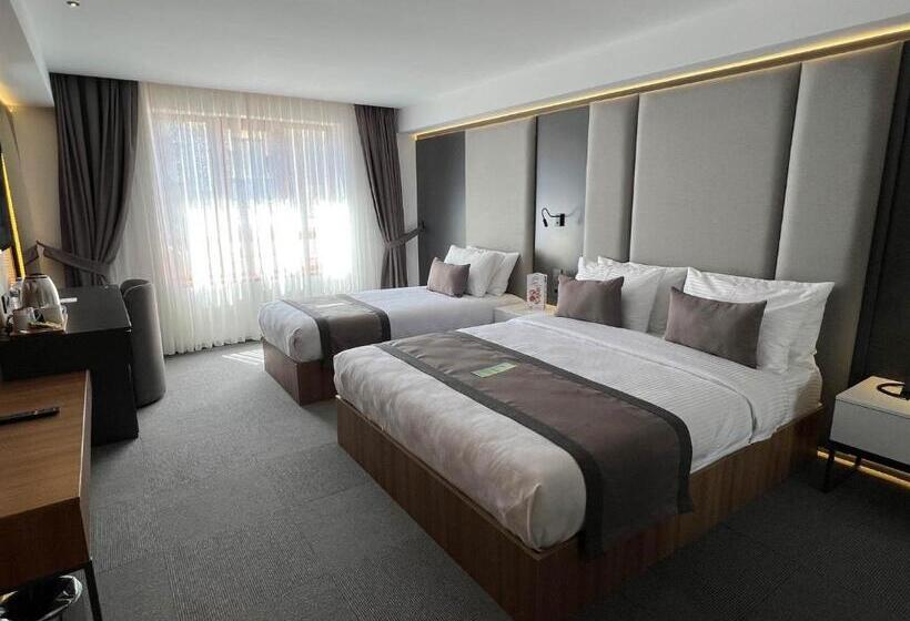 غرفة قياسية, Sera Lake Center