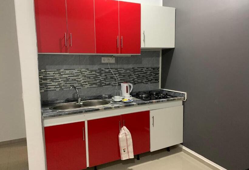 اتاق استاندارد, J Martins Apart