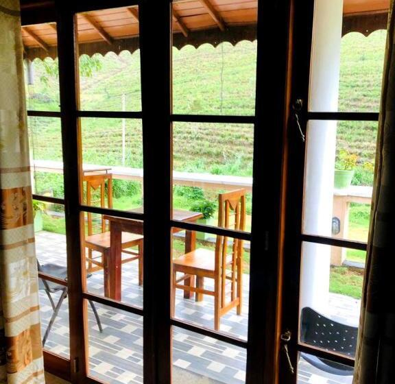 Standard Trippelrum, The Nonis Guest