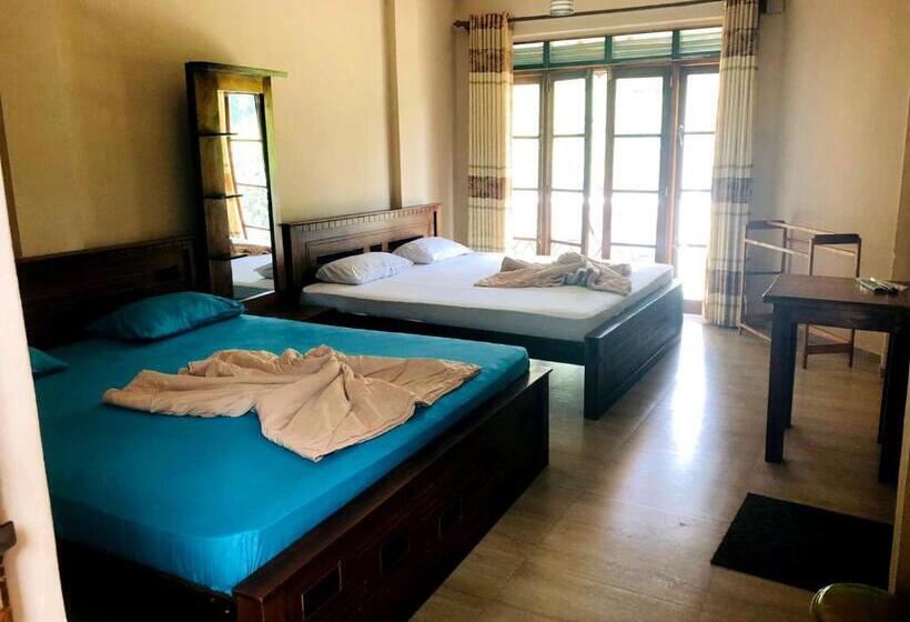 Standard Trippelrum, The Nonis Guest