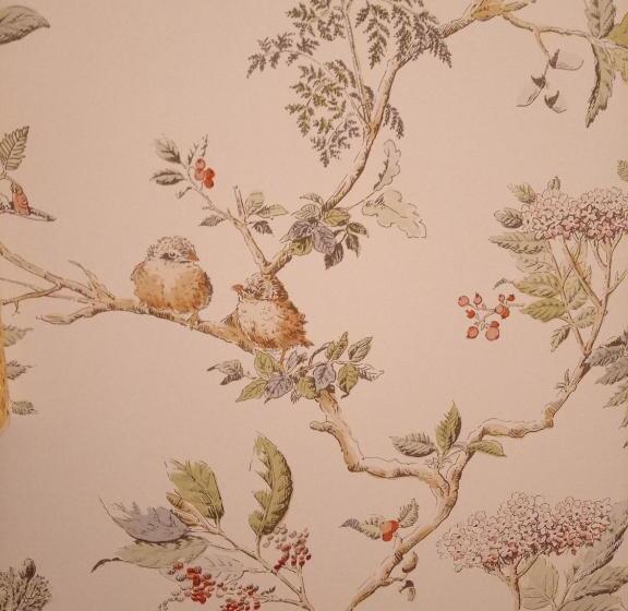 スタンダードルーム, à La Mainguère, Chambres D Hôtes