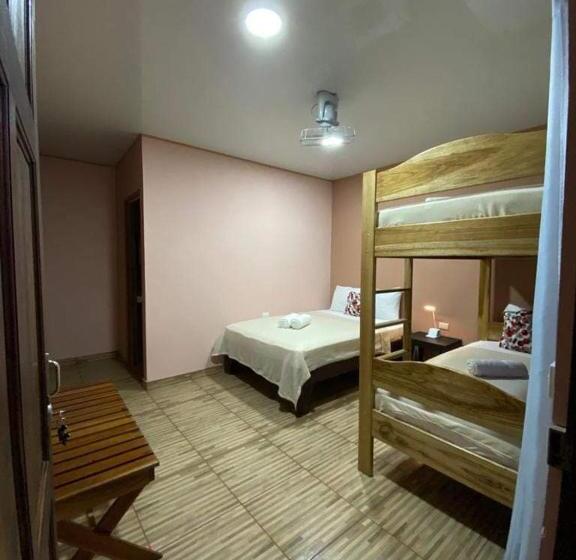 اتاق استاندارد چهار تخته, Cabinas Agamy