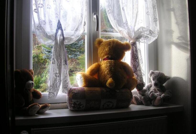 Номер Стандарт, Les Volets Bleus Alsace Vosges