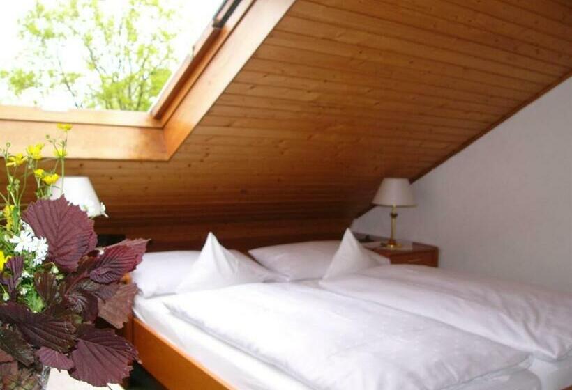 Апартаменты 1 Спальня, Gästehaus Heller