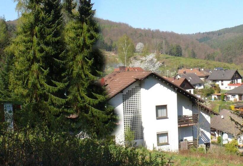 Номер Стандарт, Gästehaus Heller