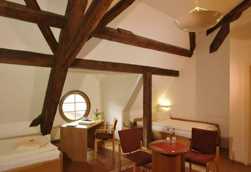Standard Yhden Hengen Huone, Gästehäuser St. Marienthal