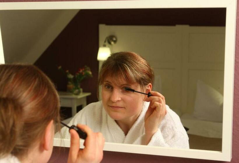 غرفة قياسية, Schlossparkhotel Sallgast