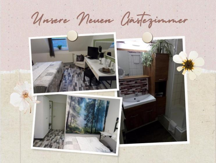 Номер Стандарт, Schlossparkhotel Sallgast