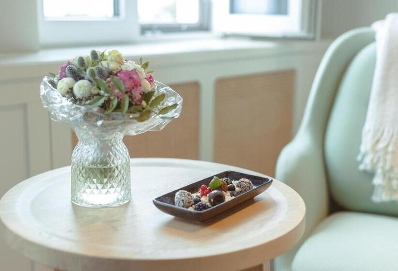 장애인을 위한 스탠다드 룸, Strandhotel Ostende
