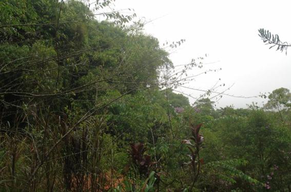 一居室别墅, Ecopousada João Y Maria