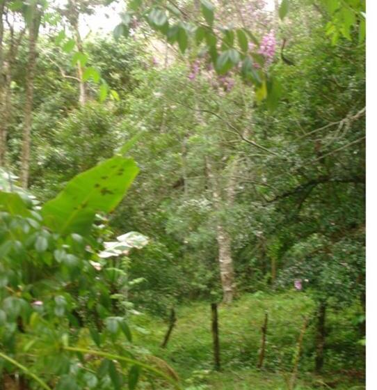 一居室别墅, Ecopousada João Y Maria