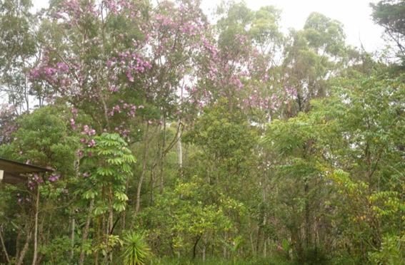 1间卧室的房子, Ecopousada João Y Maria