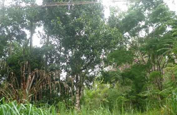 一居室别墅, Ecopousada João Y Maria