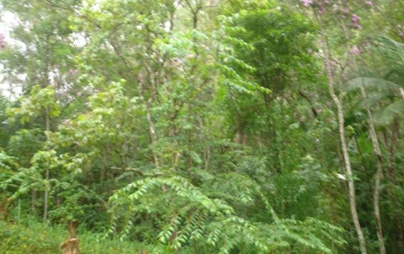 一居室高级别墅, Ecopousada João Y Maria