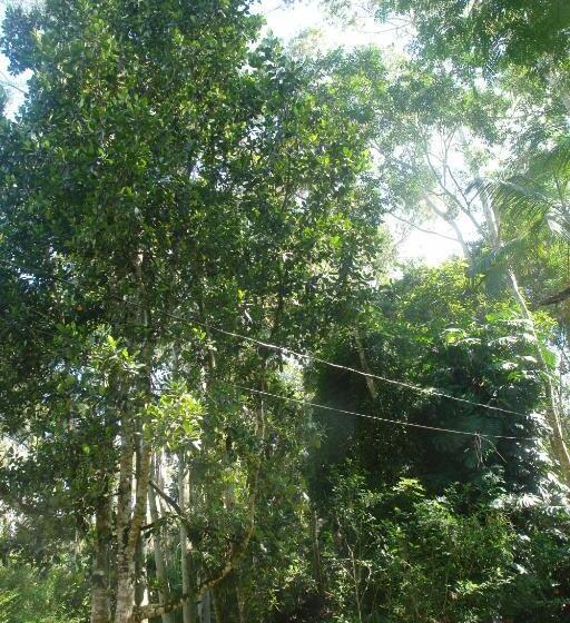 一居室高级别墅, Ecopousada João Y Maria