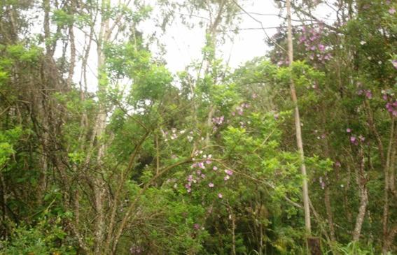 1间卧室的房子, Ecopousada João Y Maria