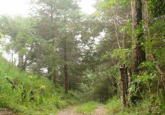 1间卧室的房子, Ecopousada João Y Maria