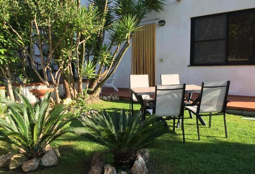 Студия Стандарт, B&b Claro De Luna