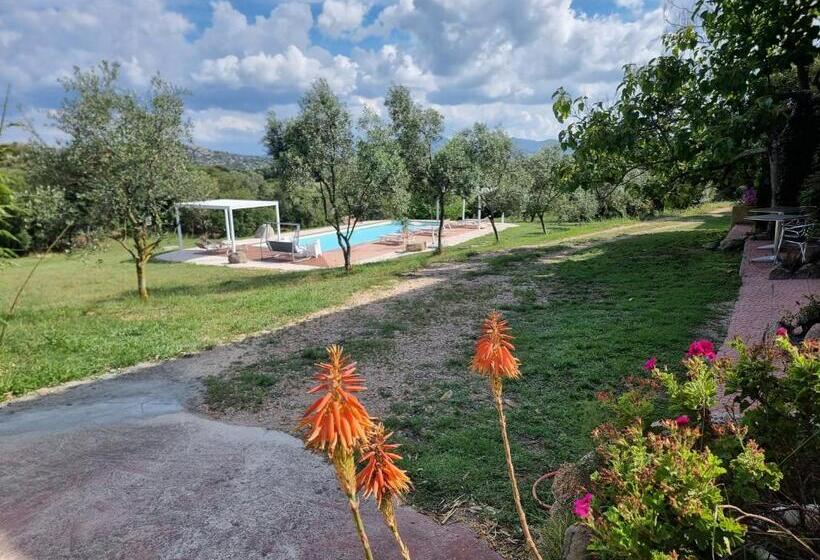 דירת חדר נוף לגינה, Aldo Countryside