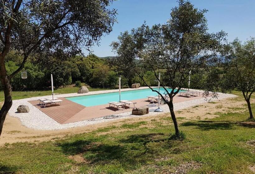 דירת חדר, Aldo Countryside