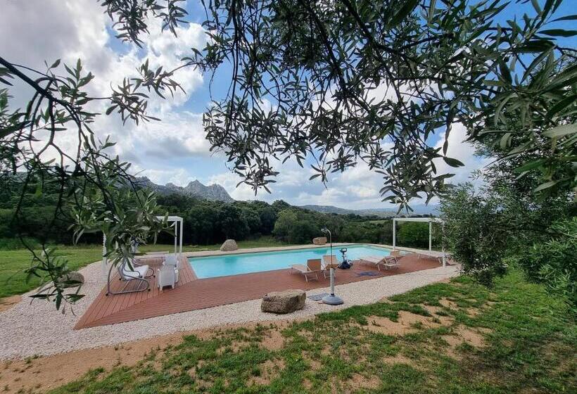 דירת חדר, Aldo Countryside