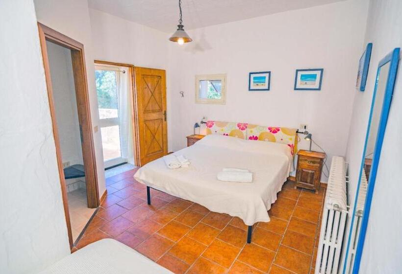 דירת חדר, Aldo Countryside