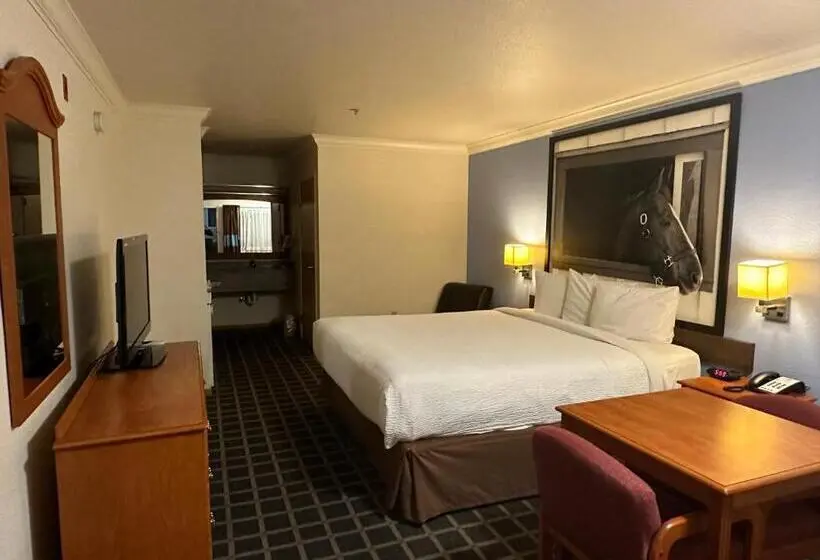 Standard-invahuone King-vuode, Creekside Inn & Suites