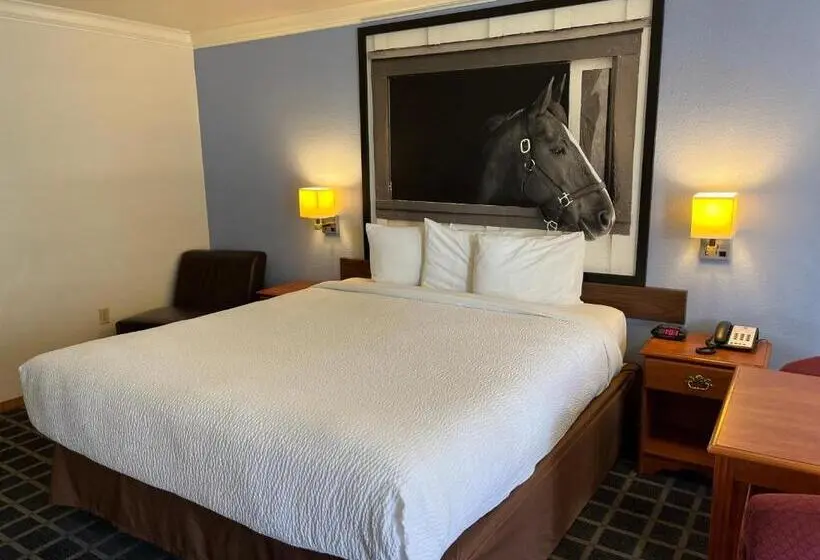 Superior-studio, Creekside Inn & Suites