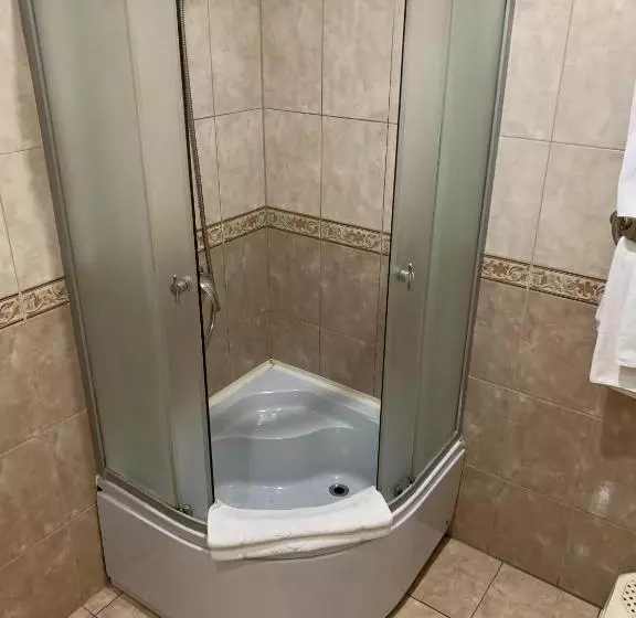 اتاق استاندارد با تخت بزرگ, готель цісар