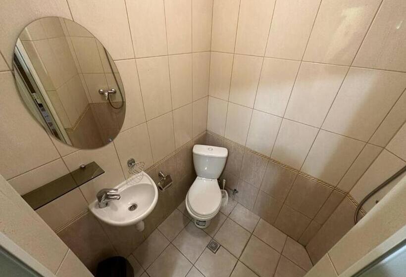 غرفة قياسية فردية, готель цісар