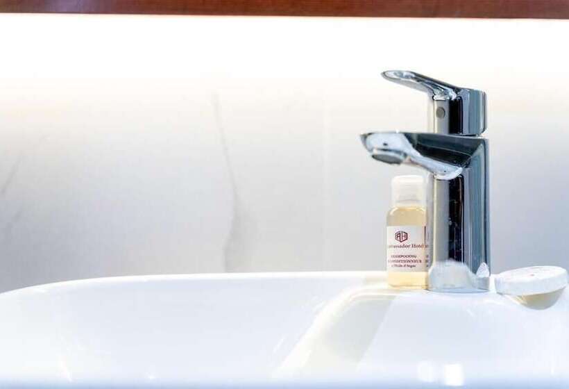 اتاق استاندارد یک نفره, Les Ambassadeurs