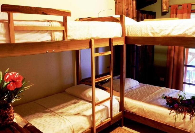 اتاق استاندارد چهار تخته, Nativa Bambu Ecolodge