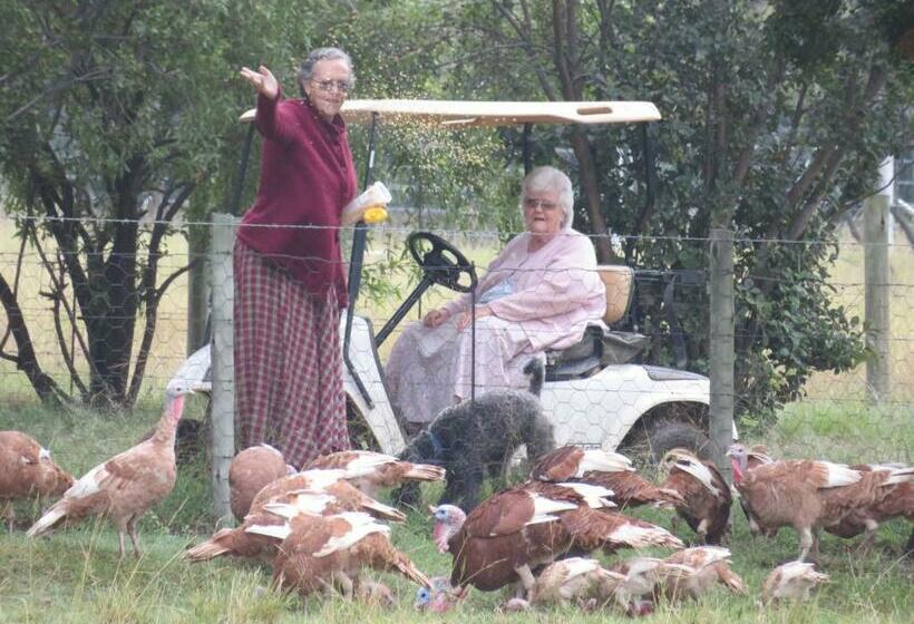 标准间, Random Harvest Country Cottages