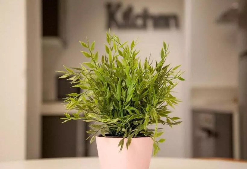 آپارتمان 2 خوابه, Flats Friends Soho Suites