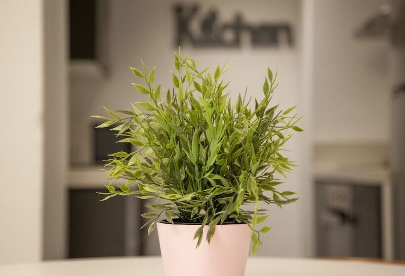 شقة غرفتين, Flats Friends Soho Suites