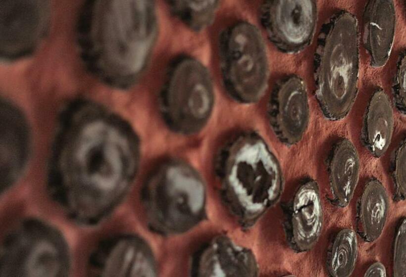 Номер Стандарт, Lonesome George Ecolodge