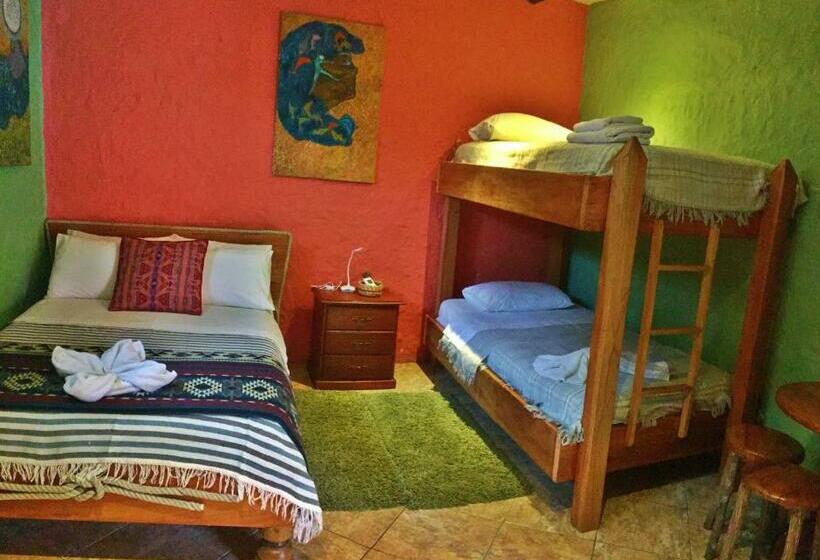 Номер Стандарт, Lonesome George Ecolodge