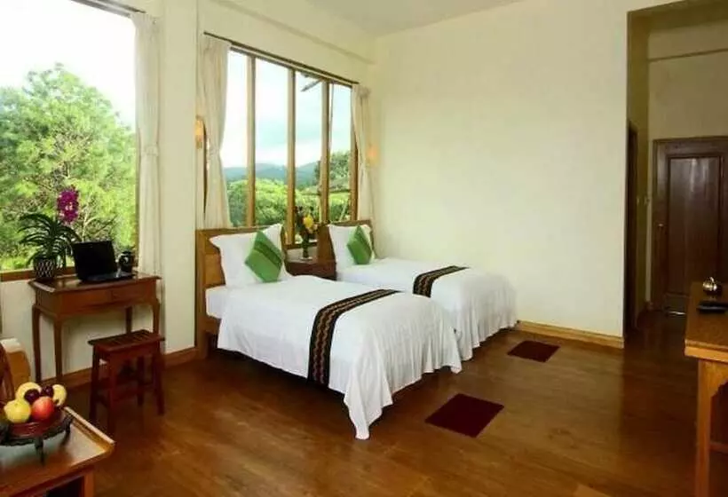 اتاق اجرایی, Dream Mountain Resort