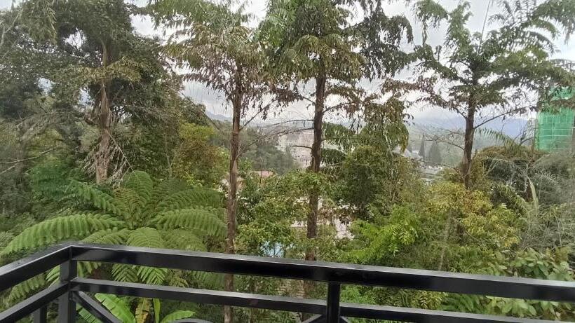 חדר סטנדרט עם מרפסת, Rovers Inn Guesthouse   Age 11 And Above Only