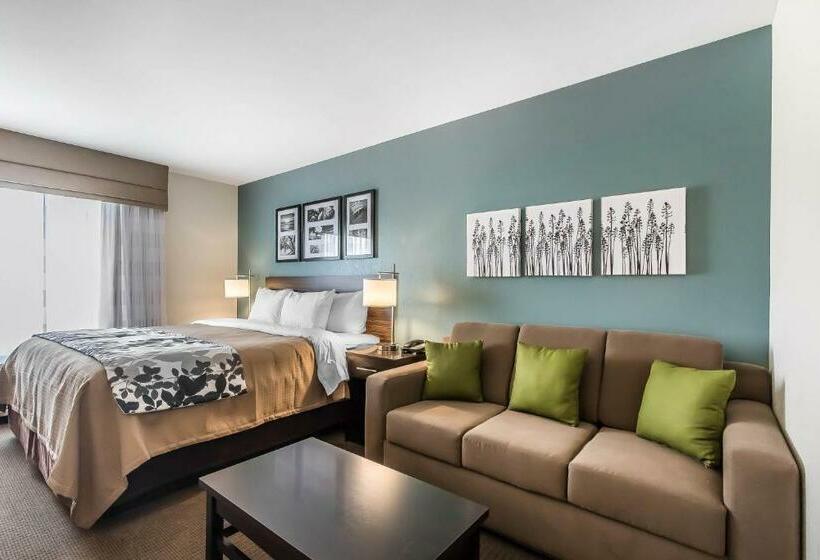 스탠다드 룸 킹사이즈 침대, Sleep Inn & Suites O Fallon Mo Technology Drive