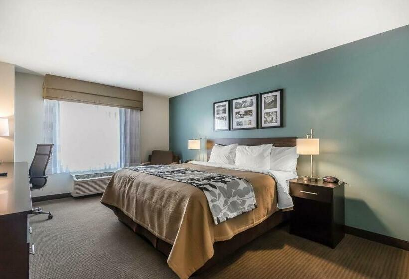 Стандартный Номер Кровать Кинг, Sleep Inn & Suites O Fallon Mo   Technology Drive