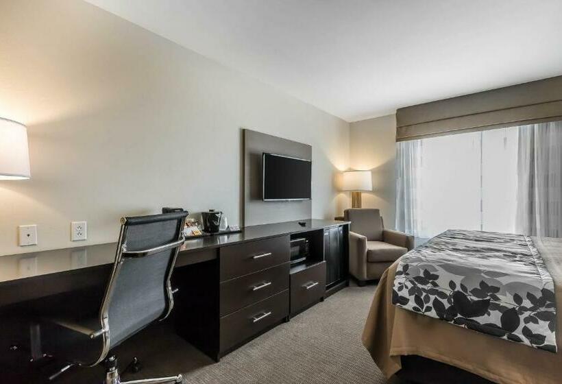 스탠다드 룸 킹사이즈 침대, Sleep Inn & Suites O Fallon Mo Technology Drive