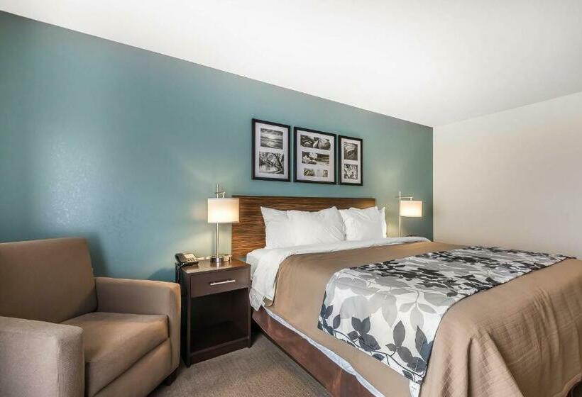 스탠다드 룸 킹사이즈 침대, Sleep Inn & Suites O Fallon Mo Technology Drive