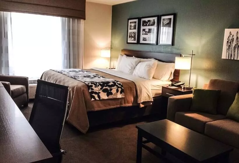 身障者適用スイートルーム, Sleep Inn & Suites O Fallon Mo Technology Drive