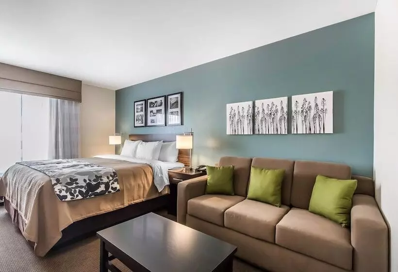 身障者適用スイートルーム, Sleep Inn & Suites O Fallon Mo Technology Drive