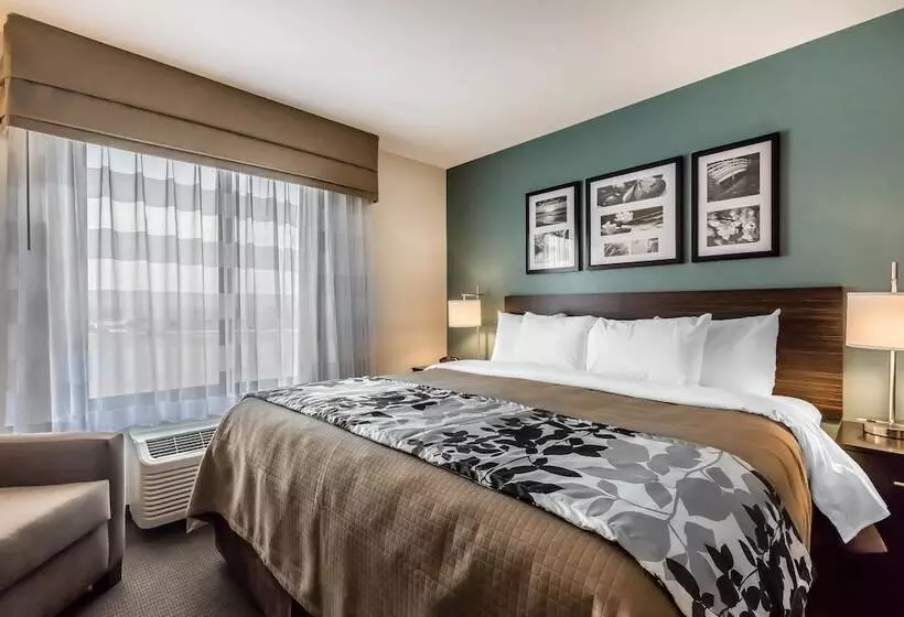 身障者適用スイートルーム, Sleep Inn & Suites O Fallon Mo Technology Drive