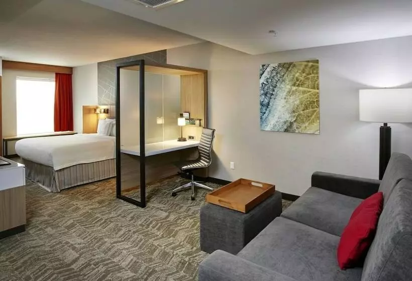 スイート, Springhill Suites By Marriott Dayton Beavercreek