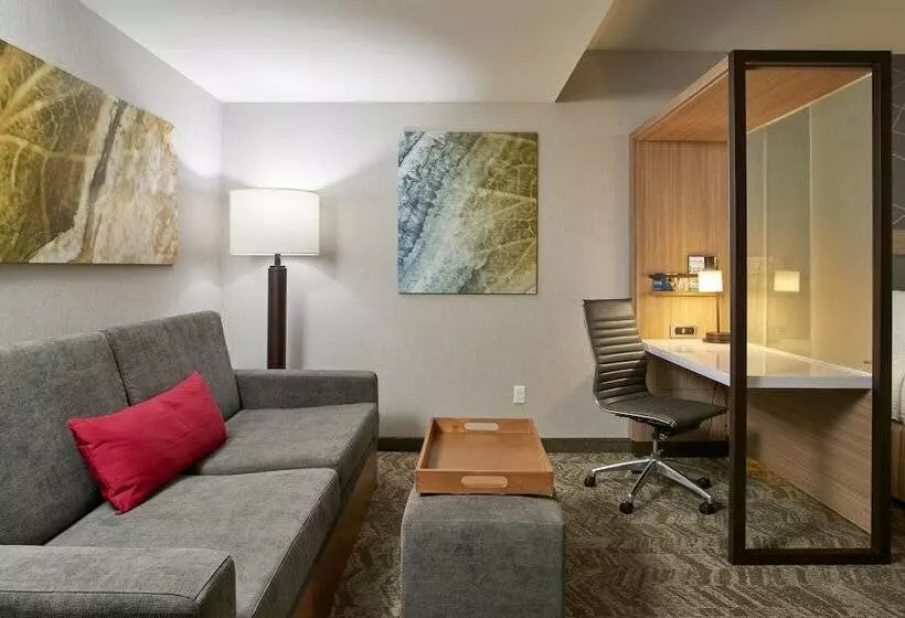 スイート, Springhill Suites By Marriott Dayton Beavercreek