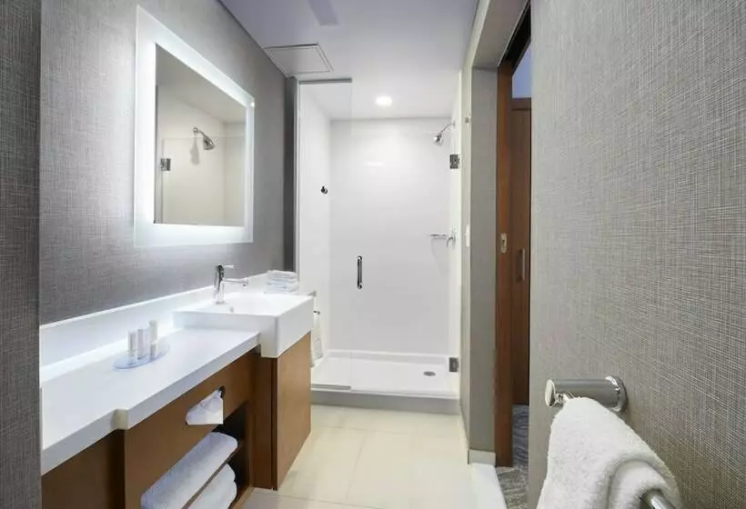 スイート, Springhill Suites By Marriott Dayton Beavercreek