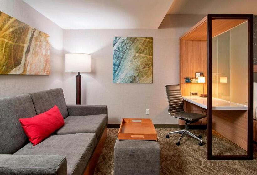 מיטת קינג בסוויטה, Springhill Suites By Marriott Dayton Beavercreek